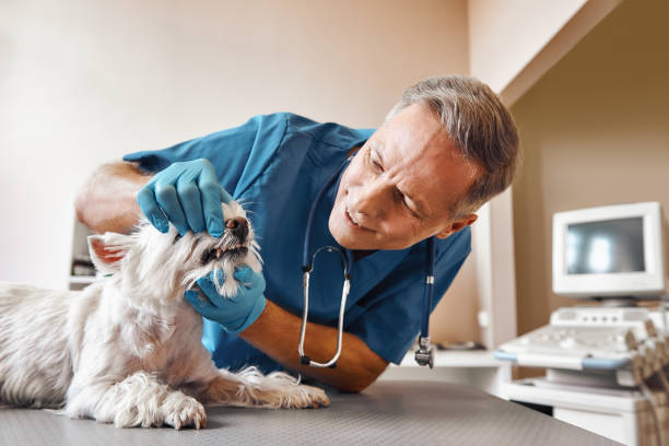 Best Weekend Emergency Dentist in Miami, FL